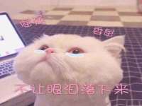 泉山区攀登调味品商行