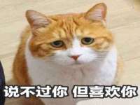 泉山区攀登调味品商行