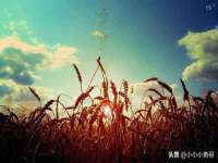 泉山区攀登调味品商行