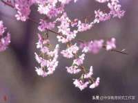 泉山区攀登调味品商行