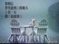 泉山区攀登调味品商行