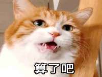 泉山区攀登调味品商行