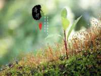 泉山区攀登调味品商行