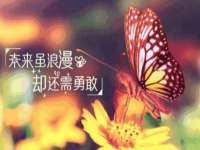 泉山区攀登调味品商行