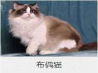 泉山区攀登调味品商行