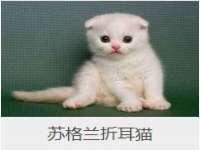 泉山区攀登调味品商行