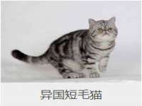 泉山区攀登调味品商行