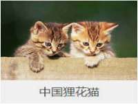 泉山区攀登调味品商行