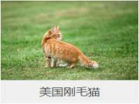 泉山区攀登调味品商行