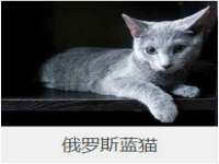 泉山区攀登调味品商行