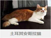 泉山区攀登调味品商行