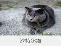 泉山区攀登调味品商行