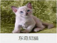 泉山区攀登调味品商行