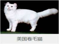 泉山区攀登调味品商行