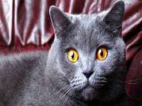 泉山区攀登调味品商行