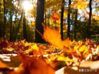泉山区攀登调味品商行