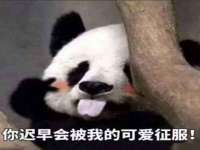 泉山区攀登调味品商行