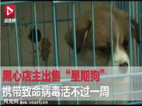 泉山区攀登调味品商行