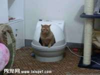 泉山区攀登调味品商行