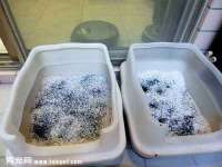 泉山区攀登调味品商行