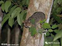 泉山区攀登调味品商行