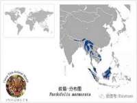 泉山区攀登调味品商行
