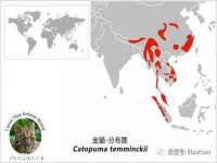 泉山区攀登调味品商行