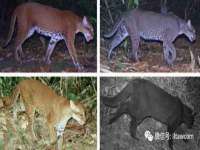 泉山区攀登调味品商行