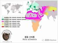 泉山区攀登调味品商行