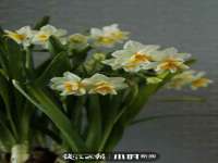 泉山区攀登调味品商行
