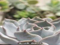 泉山区攀登调味品商行