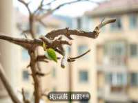 泉山区攀登调味品商行