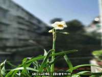泉山区攀登调味品商行