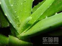 泉山区攀登调味品商行
