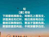 泉山区攀登调味品商行
