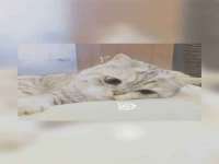 泉山区攀登调味品商行