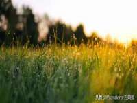泉山区攀登调味品商行