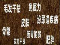 泉山区攀登调味品商行