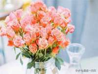 泉山区攀登调味品商行
