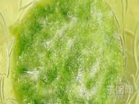 泉山区攀登调味品商行