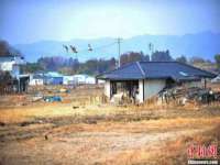 泉山区攀登调味品商行