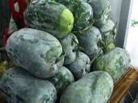 泉山区攀登调味品商行