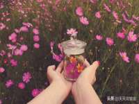 泉山区攀登调味品商行