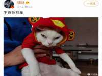 泉山区攀登调味品商行