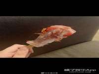 泉山区攀登调味品商行
